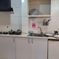 خانم خاندار برای نظافت خانه مسافر