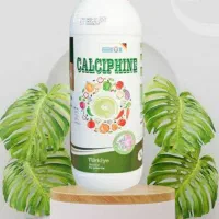 کلسی فین یک لیتری مارکا به ثمر کویر یزد