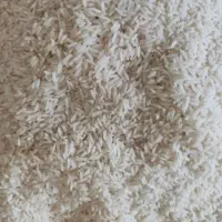 لنگرود برنج هاشمی