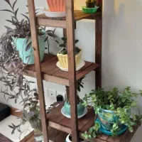 استند گل