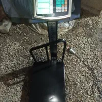 ترازو|فروشگاه و مغازه|سیاهکل, |دیوار