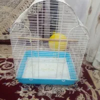 قفس پرنده