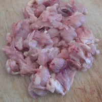 بچه فیله درجه ا