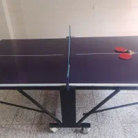 میز پینگ پنگ