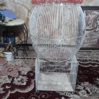 قفس