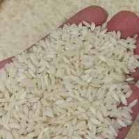 برنج چمپا کیلو 400