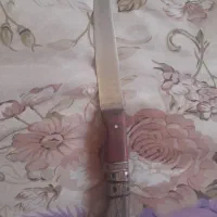 کارد بلندوعالی