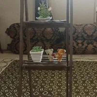 شلف همراه با وسایل