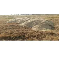 کاه گندم