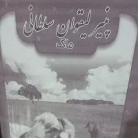پنیرییلاق گوسفندی لیقوان