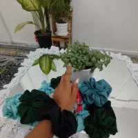 کش اسکرانچی
