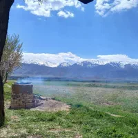 فروش-باغ