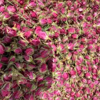 غنچه لاله زار  5تن موجود هستش زرشک زعفران عناب