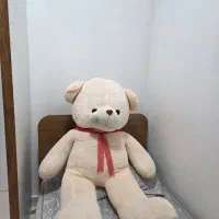 شاسخین بزرگ