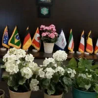 آموزشگاه آنلاین زبان انگلیسی آلمانی اسپانیایی