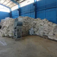 کار در کارخانه برنجکوبی