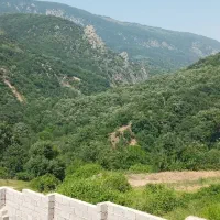 ویلای جنگلی (یورت کاظم)