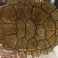 ظرف پذیرایی ترکیه