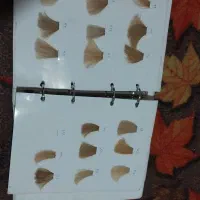 وسایل رنگ مو کاتالوگ رنگموطبیعی