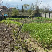 فروش زمین مسکونی تجاری در شمال