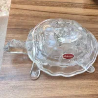 شکلات خوری لاک پشت
