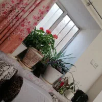 خانه-باغ-واقع-در-بنادک-سادات-باغ-حاجیون