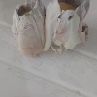 سنگ زیبا  و طبیعی
