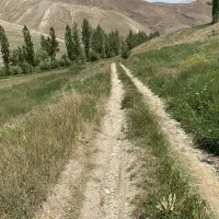 فروش ۴۰۰۰ متر زمین باغی
