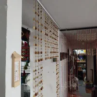 پرده مهره ای