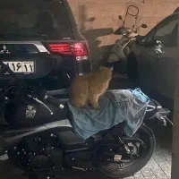 موتور سیکلت لین مکس ۲۰۰