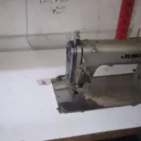 راسته تیغدار ژوکی