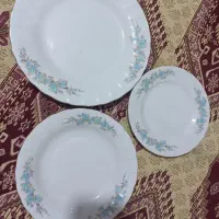چینی زرین