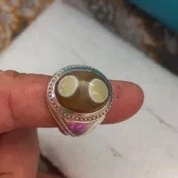 باباقوری دوچشم میزون
