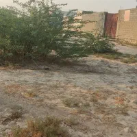 فروش زمین دلوار نزدیک هتل الماس