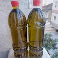 محصولات اصل گیلان