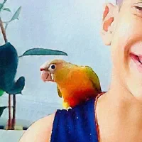 نقاشی آبرنگ همراه با قاب