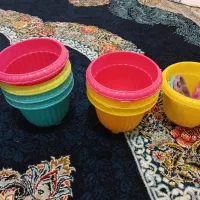 گلدون|گل و گیاه طبیعی|قم, شاه ابراهیم|دیوار