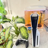 Ps5 slim standard
