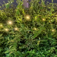 ریسه ۱۰ متری و پروژکتور خورشیدی چراغ قوه بزرگ