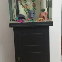 آکواریوم دلسا k390 با پایه شرکتی در حد نو