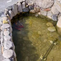 سنگ گوهرشب چراغ