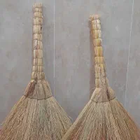 جاروی شمال