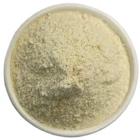 پودر سیر