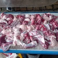 مرغ خروس گوسفند زنده غرب تهران