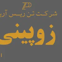 بلاگر ، مجری ، سناریونویس جهت برند