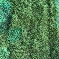 تحویل دهنده