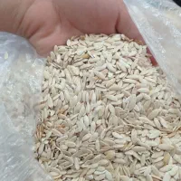 بذر گرمگ، تیوم گرگه،