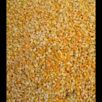 گرده گل کوهسنان