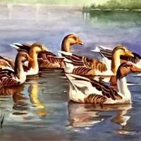 آثار آبرنگ مرحوم استاد محمود فرزانه