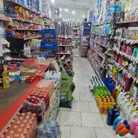 نیروی کار خانم در فروشگاه برادران نوروزی
